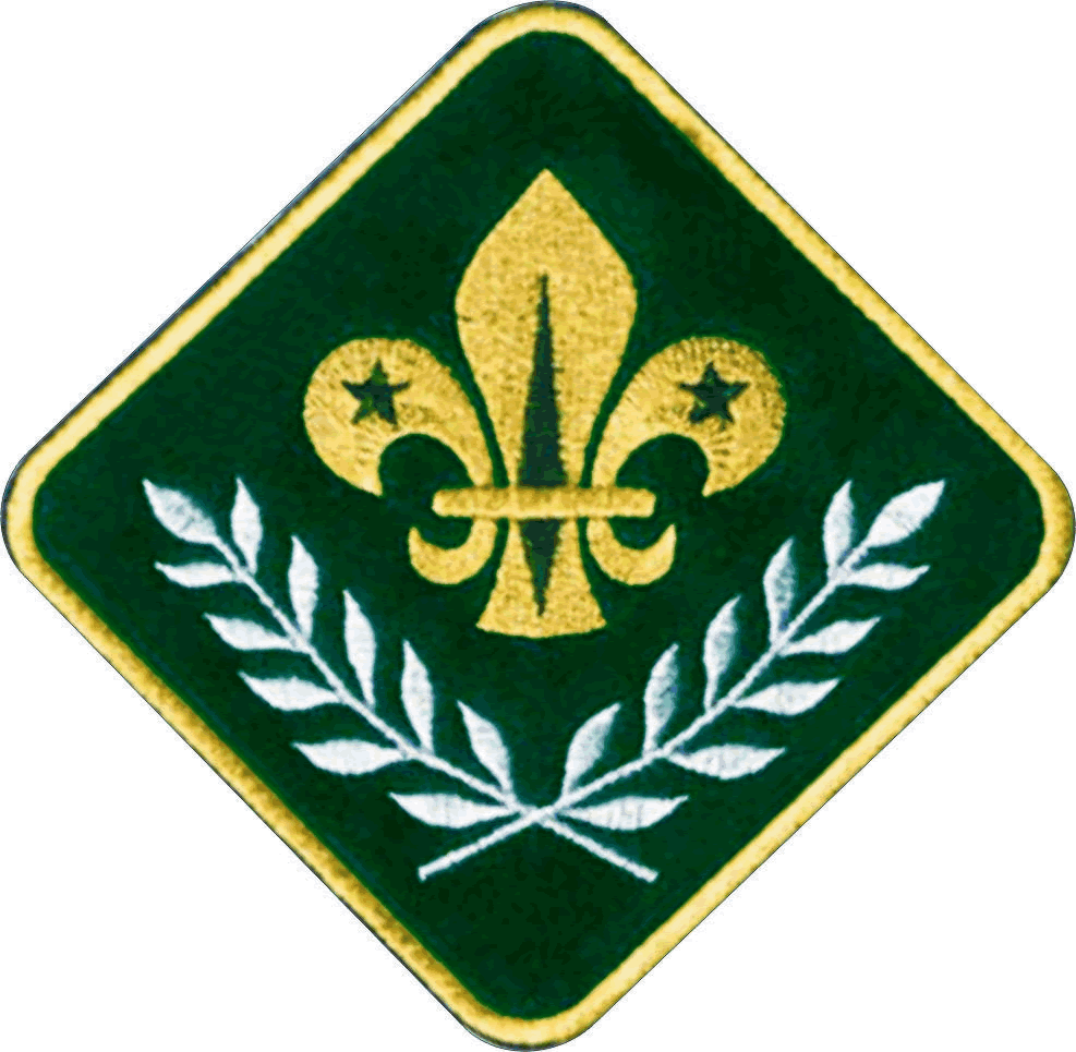 Chief Scout2