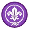 scout_logo